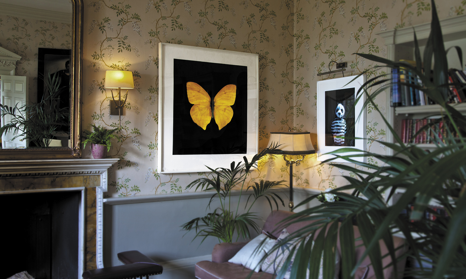 Master Images Front 4